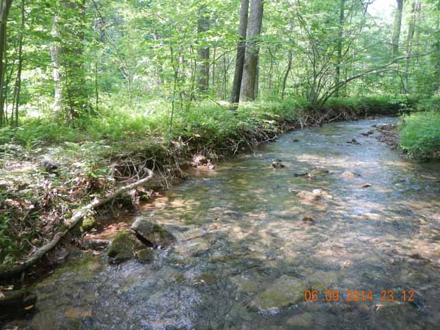 fowlers hollow.Laural run 06-09-14 098.jpg -                                